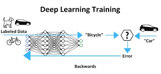 scheme of deep learning training