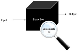 black box to be explained