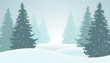 picture of winter