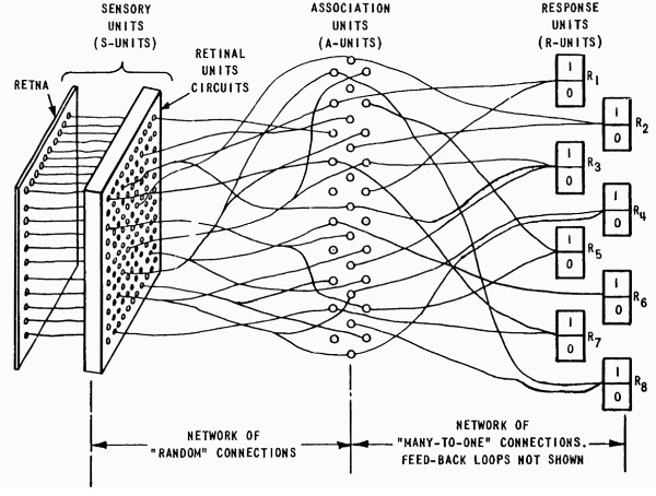 perceptron machine used by Frank Rosenblatt 