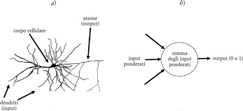 neuron and perceptron