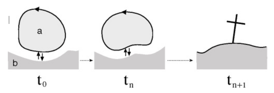Disegno di Maturana per illustrare accoppiamento tra essere umano e medium nella loro reciproca evoluzione