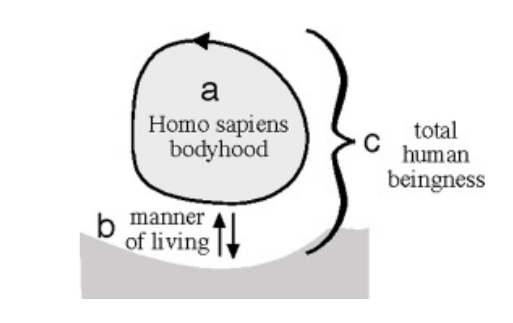 Disegno di Maturana per illustrare come l'homo Sapiens deve essere considerato nella sua umanità nel coo-adattamento e interazione con l'ambiente
