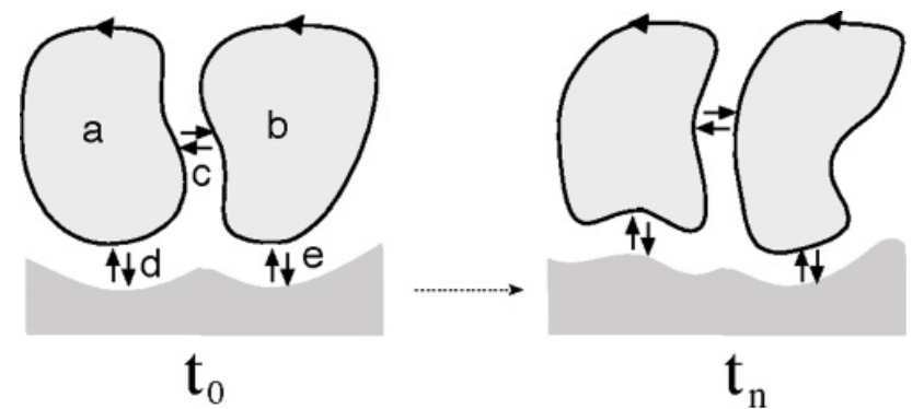 Disegno di Mturana che spiega gli elementi delle relazioni sociali tra entità biologiche