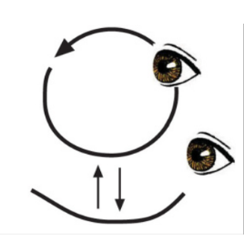 Disegno di Maturana che illustra la capacità di osservazione, interna ed esterna, dell'essere umano