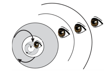 disegno di Maturana sulla ricorsività delle operazioni di osservazione, distinzione e descrizione